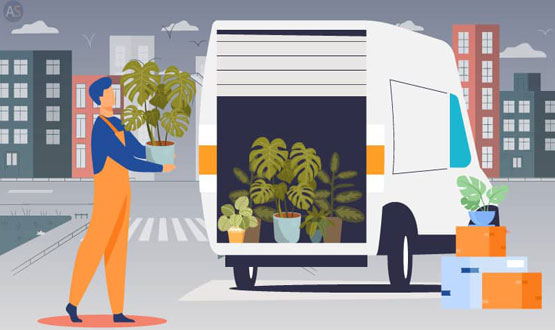 Plant Relocation Bangalore