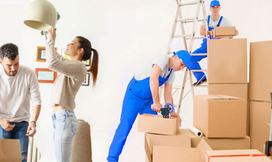 Professional Packers And Movers Bangalore